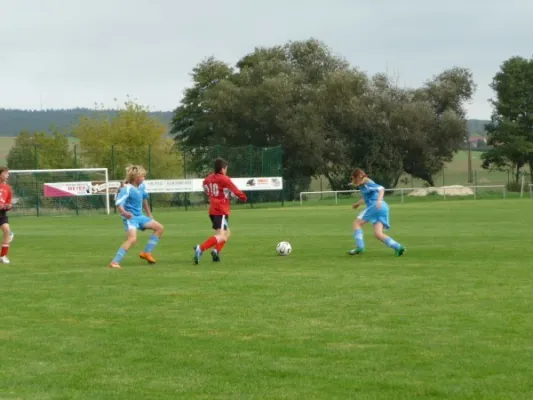 SV BW Neustadt - 1. FC Greiz (C-Junioren)