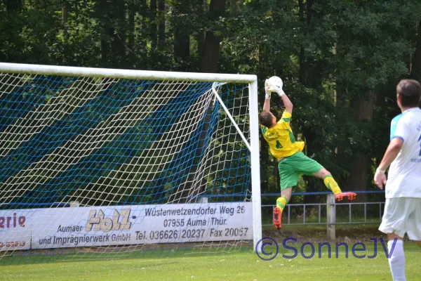 2017-07-08 - Niederpöllnitz : BW (Testspiel)