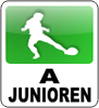Saisonrückblick A-Junioren Spieljahr 2013/14