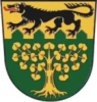SG Pöllwitz/Langw.