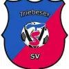 Triebeser SV AH