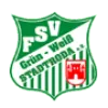 FSV Grün-Weiß Stadtroda