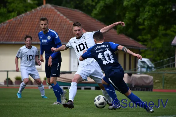 2022-05-28 - Apolda : BW