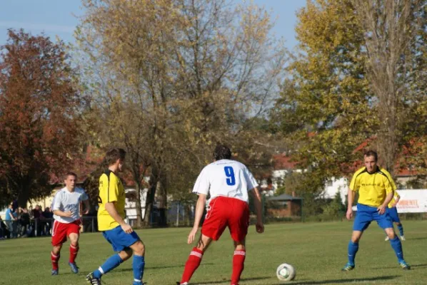 Neustadt - Altenburg 1:1