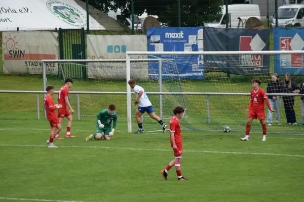 2025-06-07 35 Jahre Blau Weiss ´90 Neustadt (Orla)