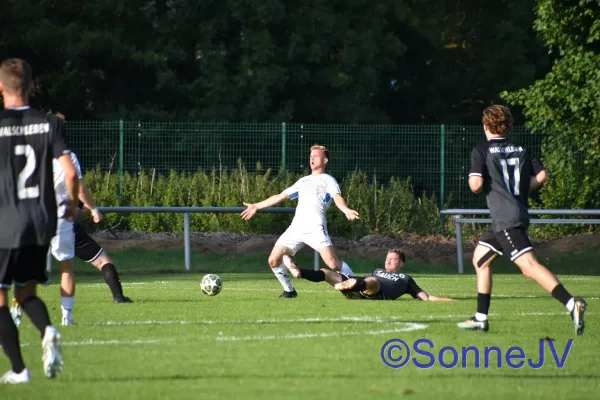 2025-07-18 - BW : Walschleben (Testspiel)