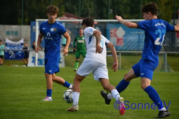 2025-08-09 - BW : Gera-Westvororte