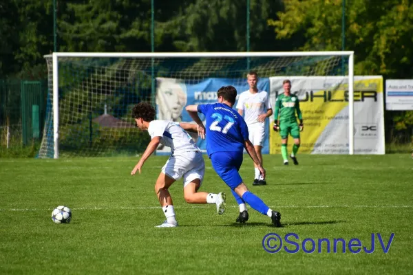 2025-08-09 - BW : Gera-Westvororte