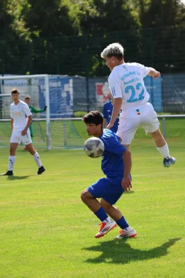 2025-08-17 - BW A : Schott Jena