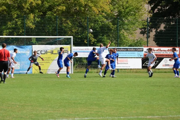 2025-08-17 - BW A : Schott Jena