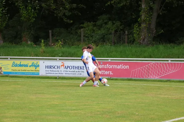 2025-08-17 - BW A : Schott Jena