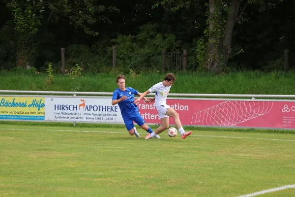 2025-08-17 - BW A : Schott Jena