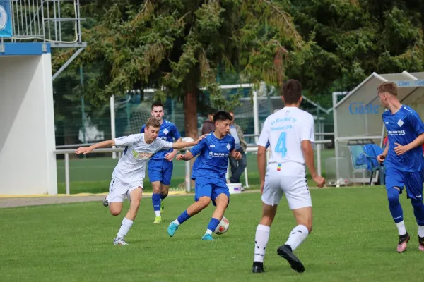 2025-08-17 - BW A : Schott Jena