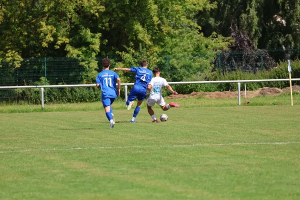 2025-08-17 - BW A : Schott Jena