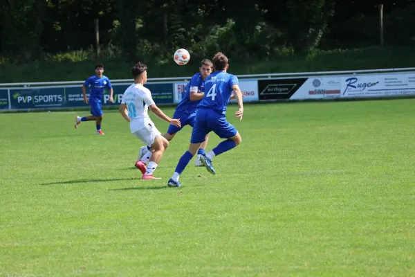 2025-08-17 - BW A : Schott Jena