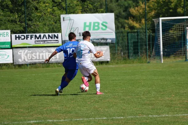 2025-08-17 - BW A : Schott Jena