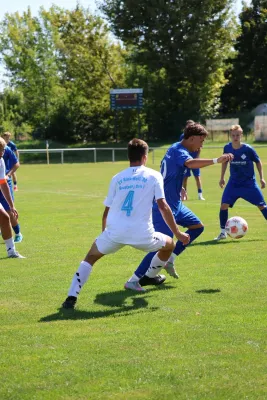 2025-08-17 - BW A : Schott Jena