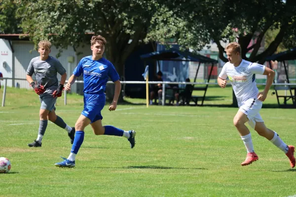 2025-08-17 - BW A : Schott Jena