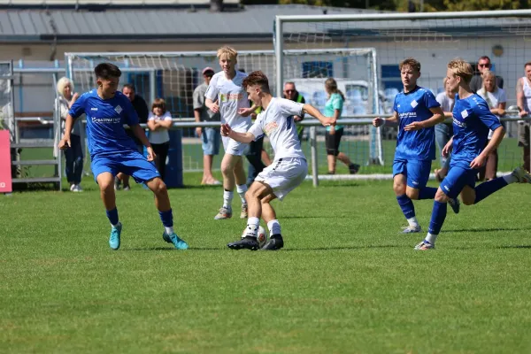 2025-08-17 - BW A : Schott Jena