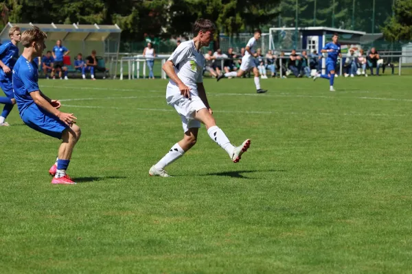 2025-08-17 - BW A : Schott Jena