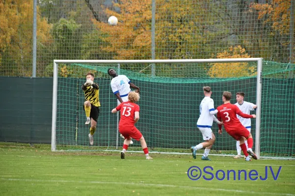 2025-11-01 - Schott Jena II : BW II