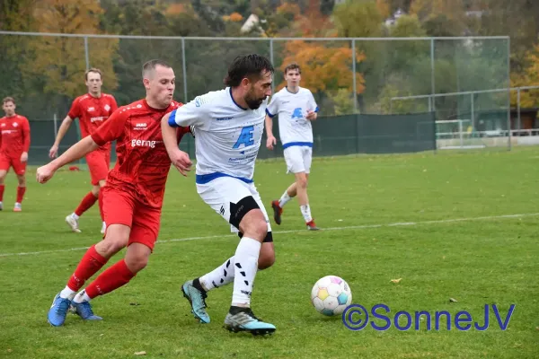 2025-11-01 - Schott Jena II : BW II