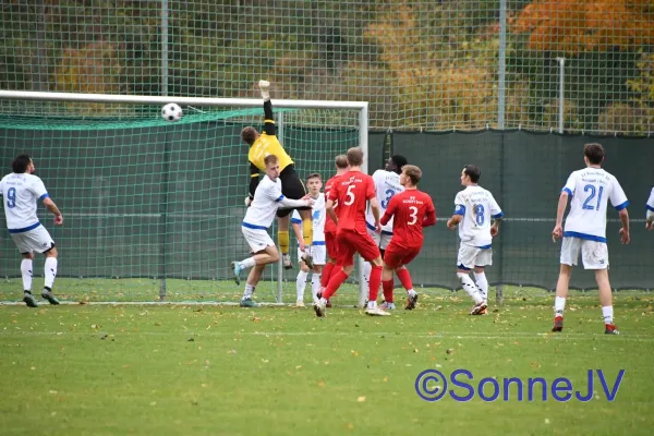 2025-11-01 - Schott Jena II : BW II