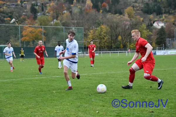 2025-11-01 - Schott Jena II : BW II