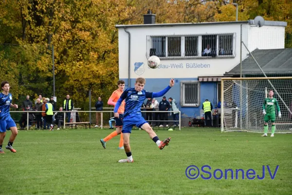 2025-11-02 - Büßleben : BW