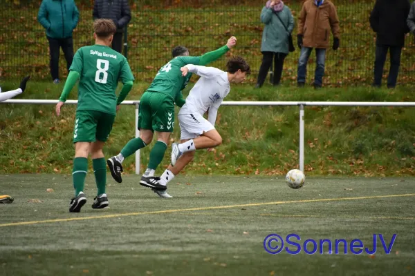 2025-11-08 - Geratal : BW