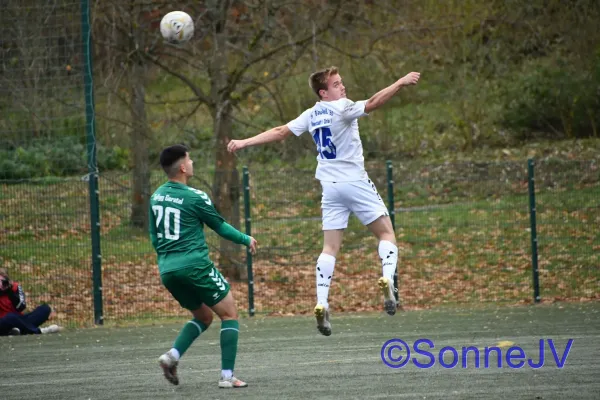 2025-11-08 - Geratal : BW