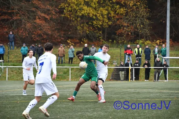 2025-11-08 - Geratal : BW