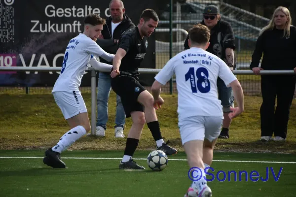 2026-02-28 - BW : Fahner Höhe