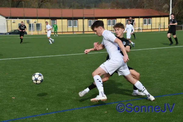 2026-02-28 - BW : Fahner Höhe