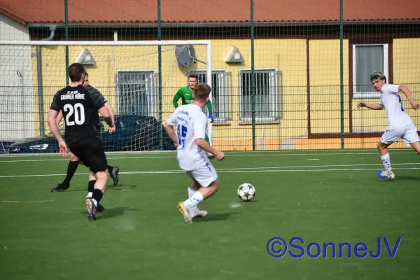 2026-02-28 - BW : Fahner Höhe