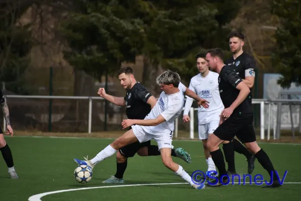 2026-02-28 - BW : Fahner Höhe