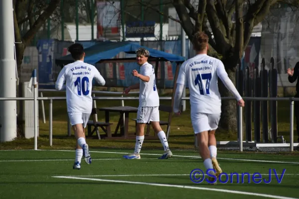 2026-02-28 - BW : Fahner Höhe