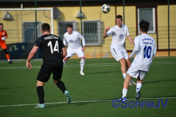 2026-02-28 - BW : Fahner Höhe