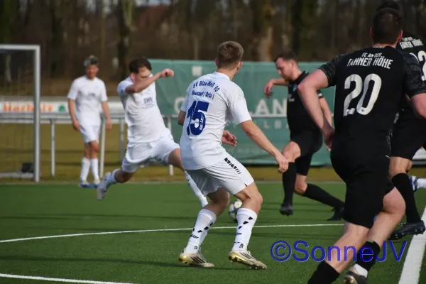 2026-02-28 - BW : Fahner Höhe