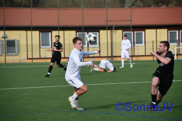 2026-02-28 - BW : Fahner Höhe