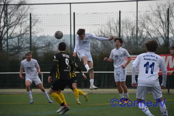 2026-03-21 - Weida : BW