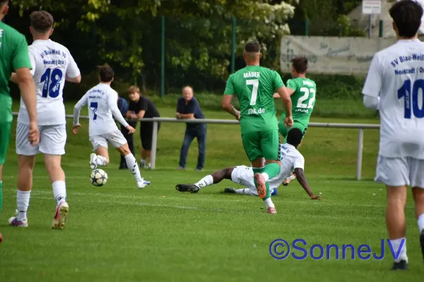 2026-09-05 - BW : ZFC Meuselwitz (Pokal; 0:5)
